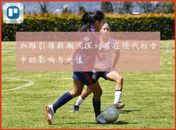 加维引领新潮流探讨其在现代社会中的影响与价值