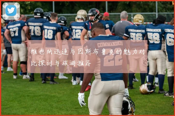 维也纳迅速与因斯布鲁克的魅力对比探讨与旅游推荐