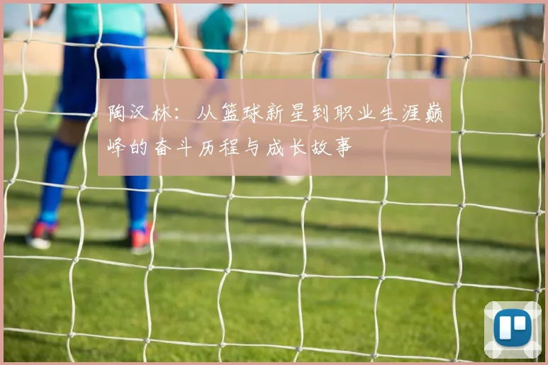 陶汉林：从篮球新星到职业生涯巅峰的奋斗历程与成长故事