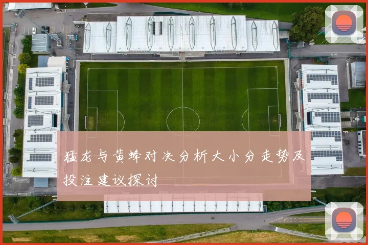 猛龙与黄蜂对决分析大小分走势及投注建议探讨
